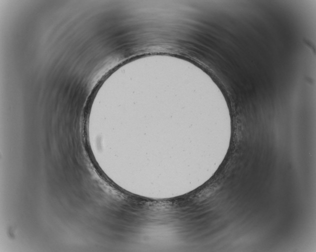 X0000103490991200810241057