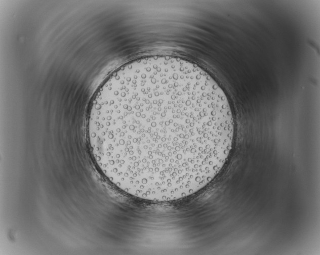 X0000103490994200810241057