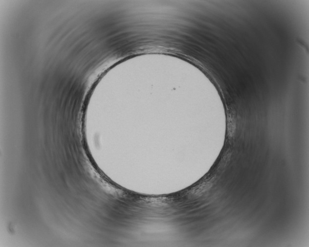X0000103490995200810241057