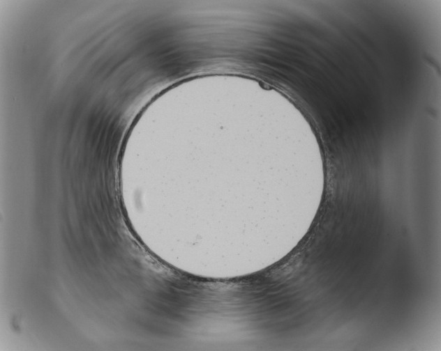 X0000103490996200810241057