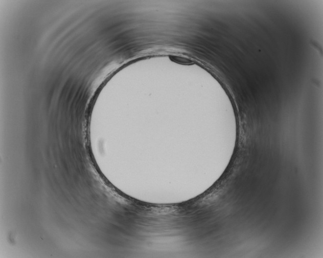 X0000103490997200810241057
