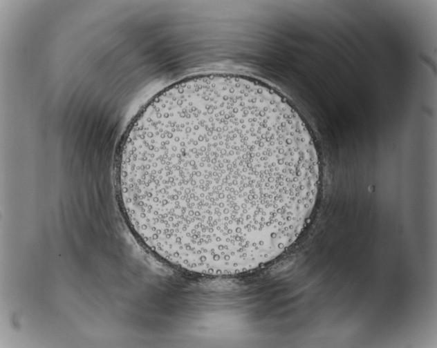 X0000103490998200810241057