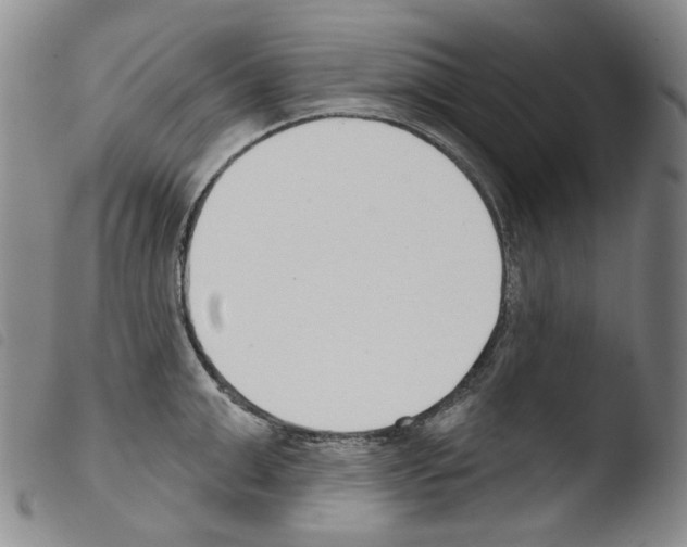 X0000103490999200810241057