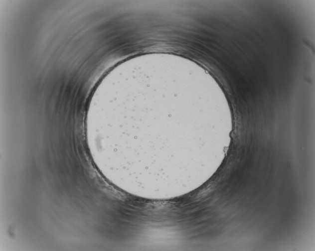 X0000103491000200810241057