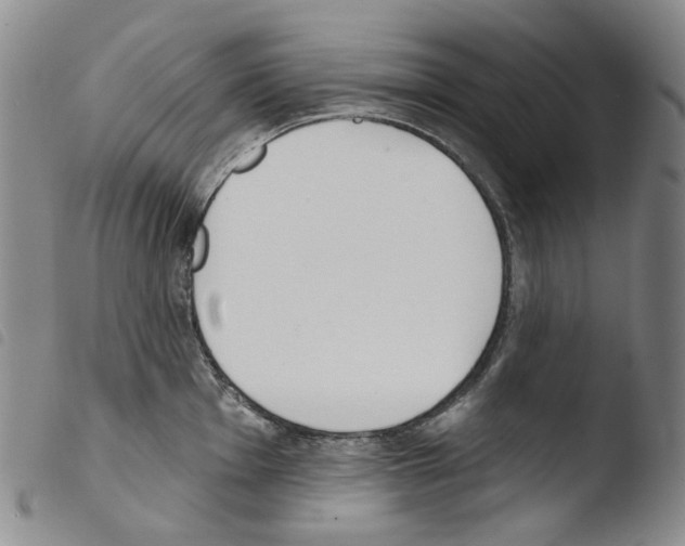 X0000103491001200810241057