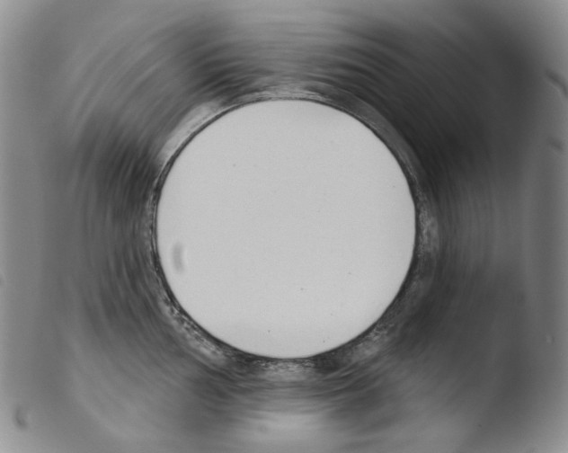 X0000103491002200810241057