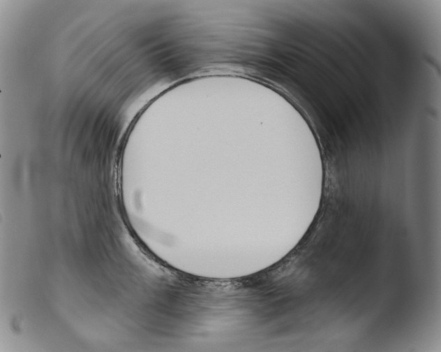 X0000103491003200810241057