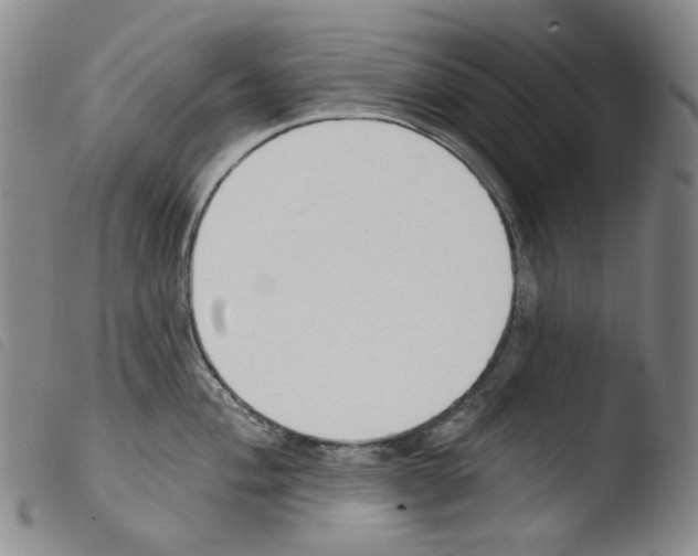 X0000103491004200810241057