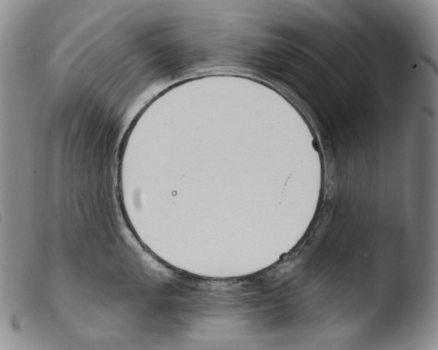 X0000103491005200810241057