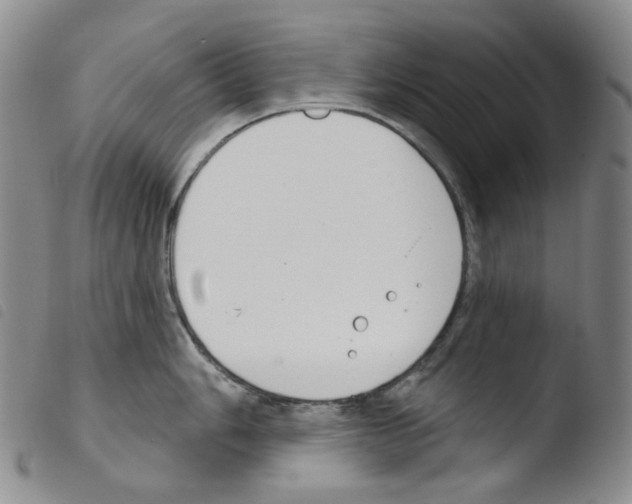 X0000103491006200810241057