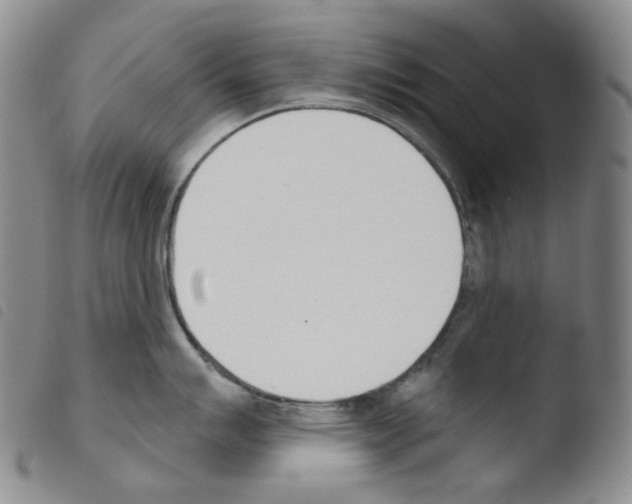 X0000103491007200810241057