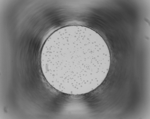X0000103491008200810241057