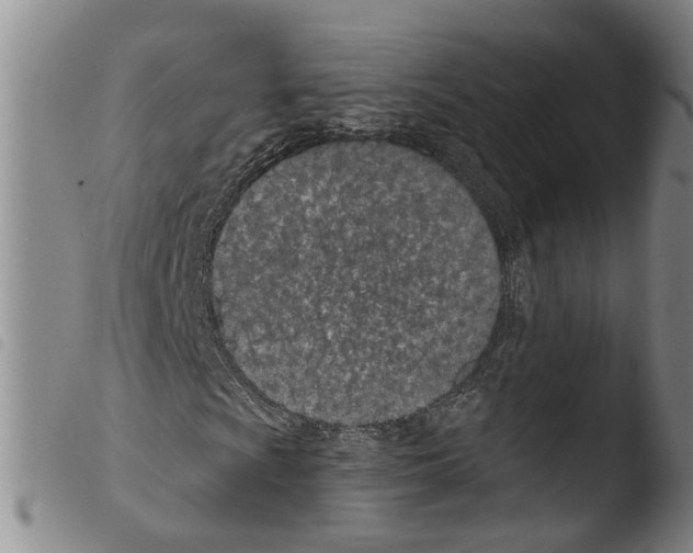 X0000103491009200810241056