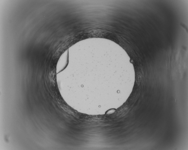 X0000103491010200810241056
