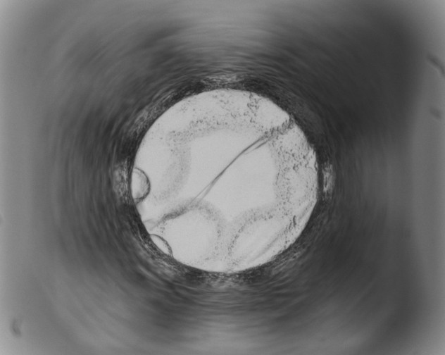 X0000103491011200810241056