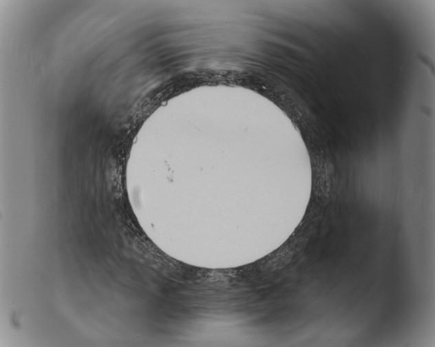 X0000103491013200810241056
