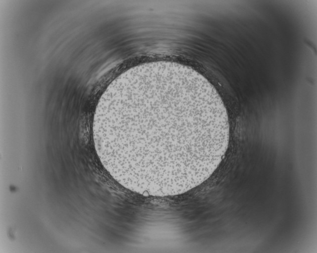 X0000103491015200810241056