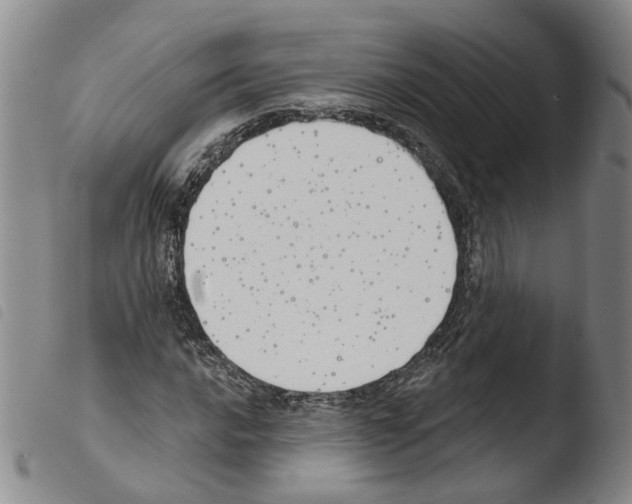 X0000103491016200810241056