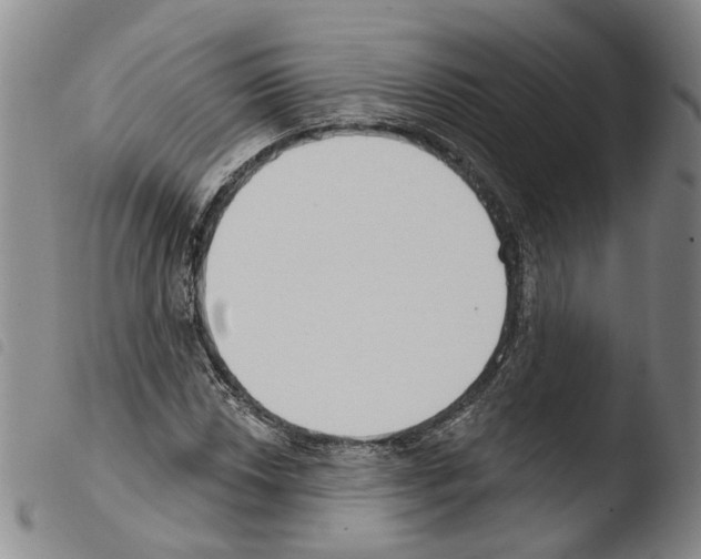 X0000103491018200810241056