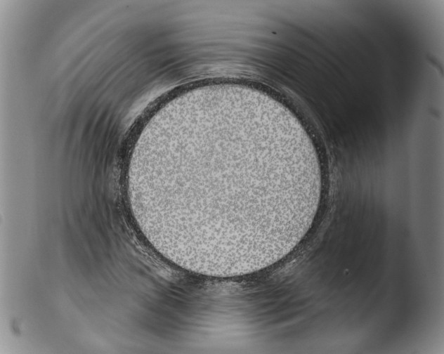 X0000103491019200810241056