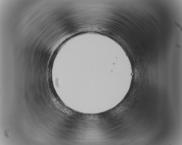 X0000103491020200810241056