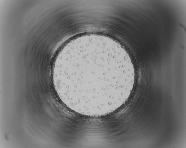 X0000103491021200810241056