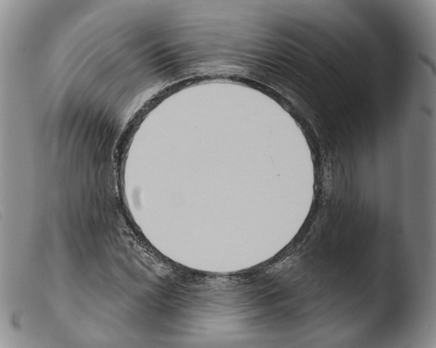 X0000103491022200810241056
