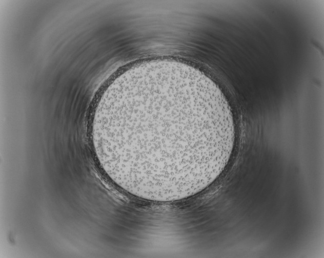 X0000103491023200810241056