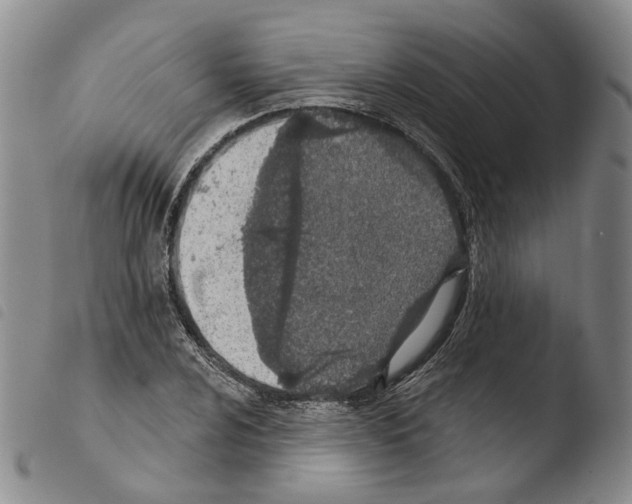 X0000103491024200810241056