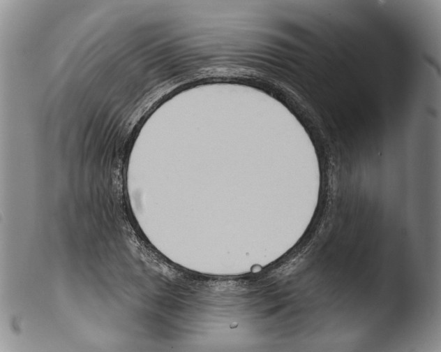 X0000103491025200810241056