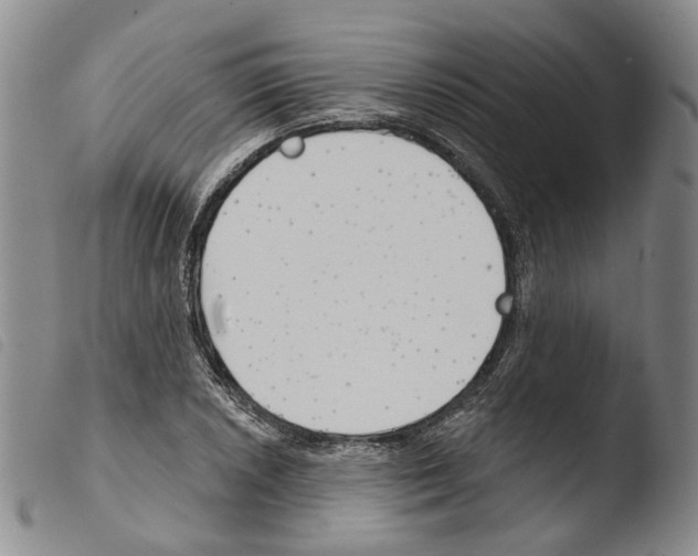 X0000103491026200810241056