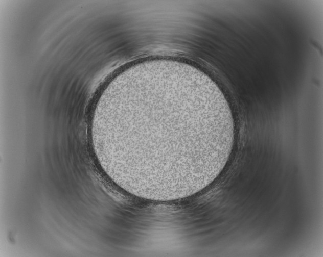 X0000103491027200810241056