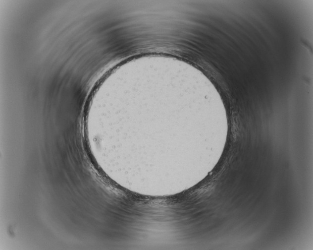 X0000103491028200810241056