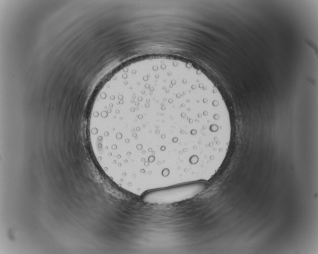 X0000103491029200810241056