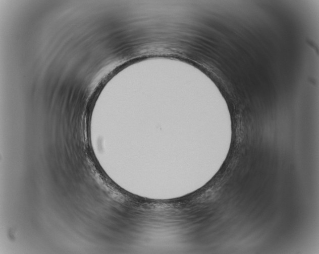 X0000103491030200810241056