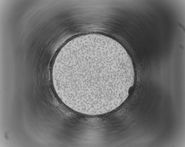 X0000103491031200810241056