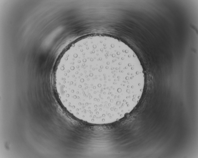 X0000103491032200810241056
