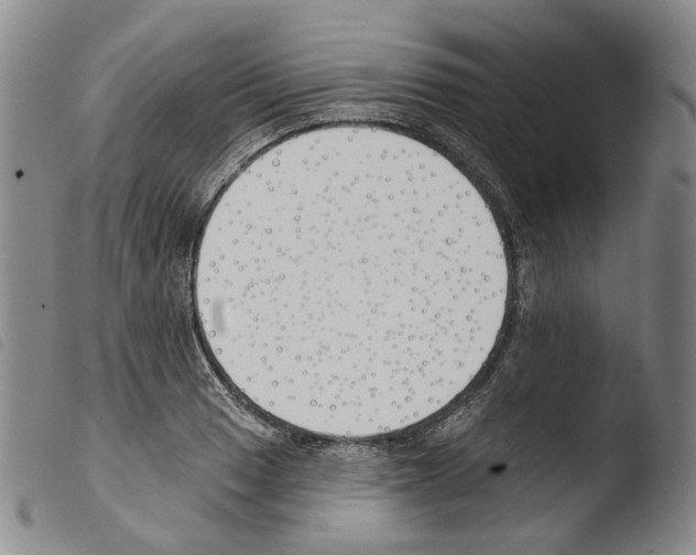 X0000103491033200810241056