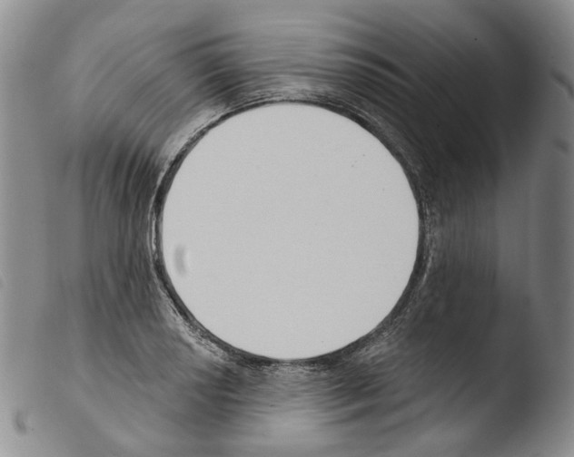 X0000103491034200810241056