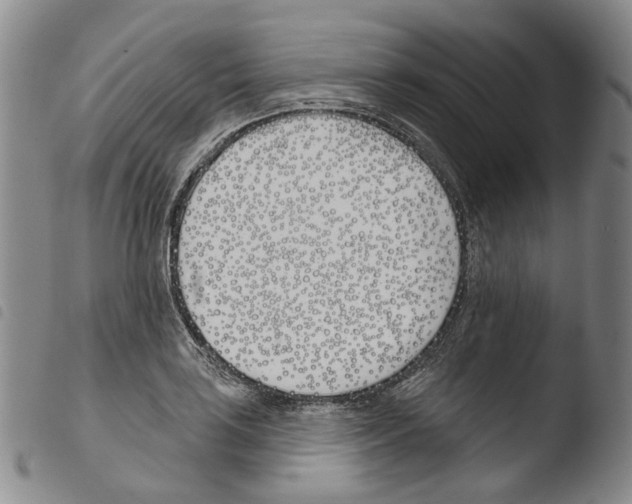 X0000103491035200810241056