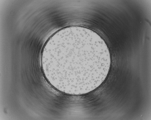 X0000103491036200810241056