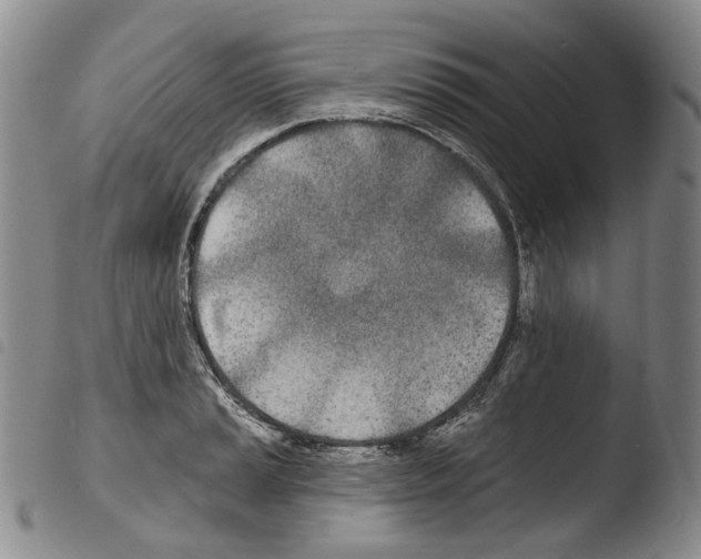 X0000103491037200810241056