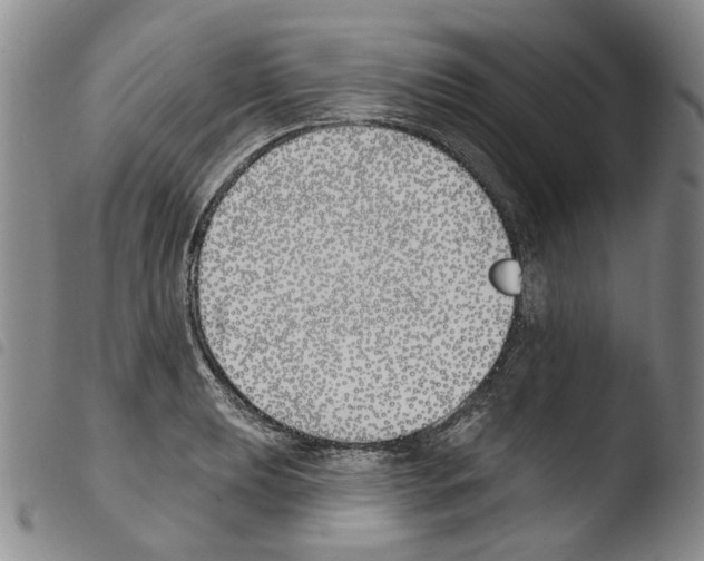 X0000103491039200810241056