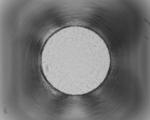 X0000103491040200810241056