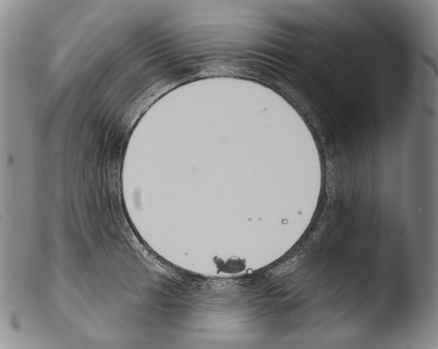 X0000103491041200810241056