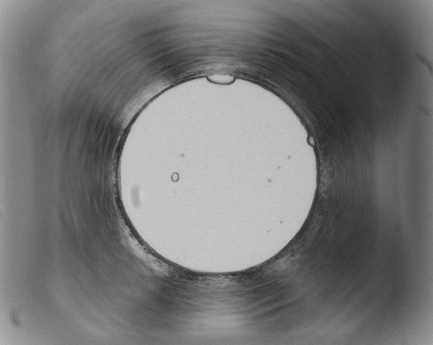 X0000103491042200810241056