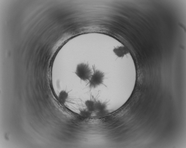 X0000103491043200810241056