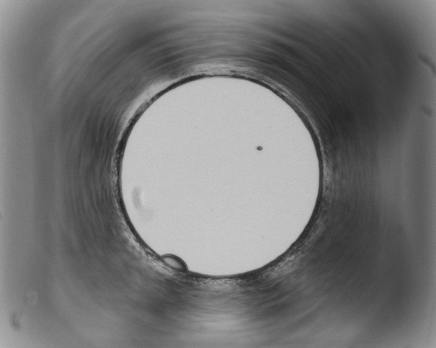 X0000103491045200810241056