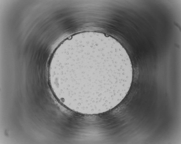 X0000103491046200810241057