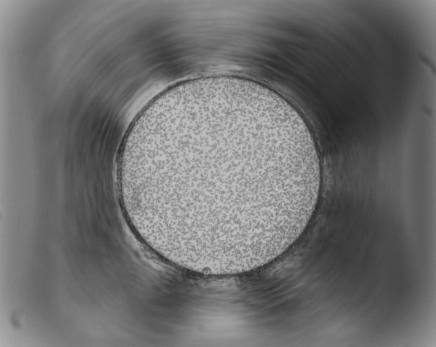 X0000103491047200810241057